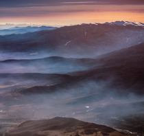 dito_tediashvili_small