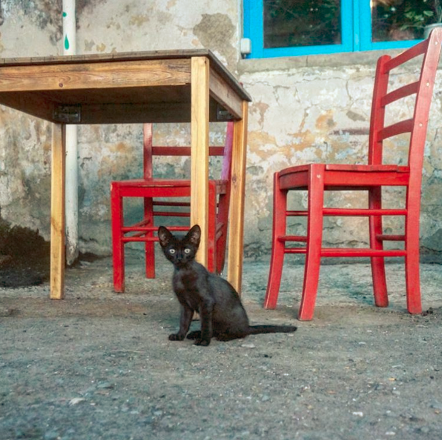 tbilisi_v_foto_1